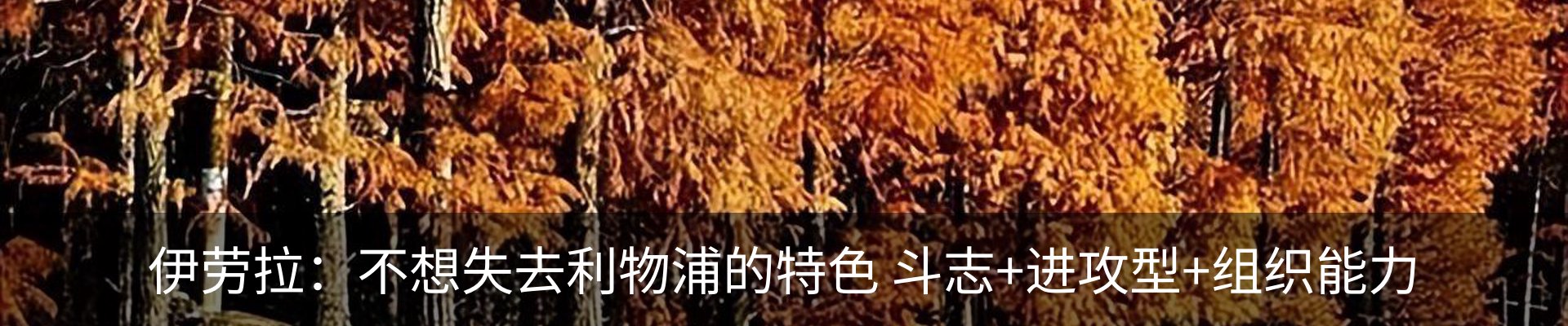 行业资讯