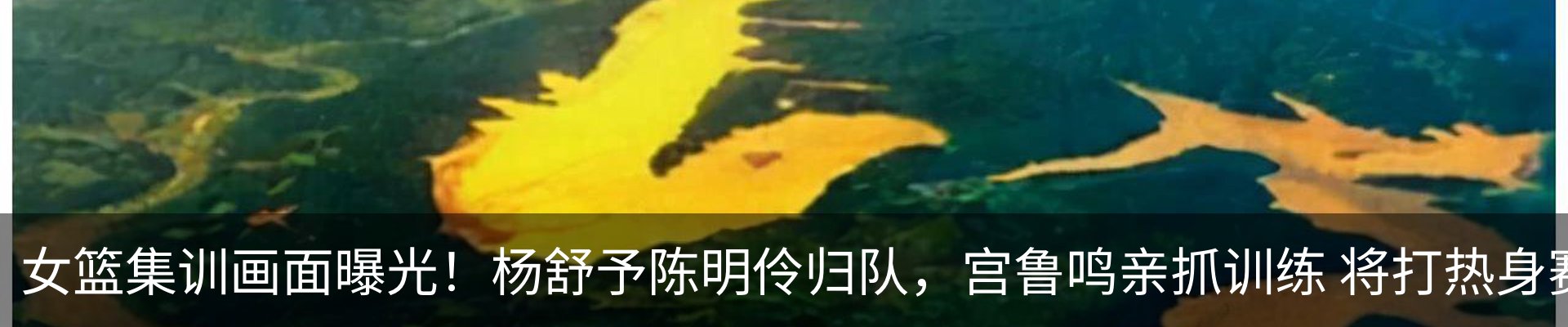 行业资讯