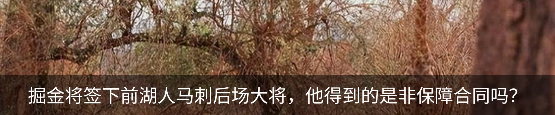 行业资讯