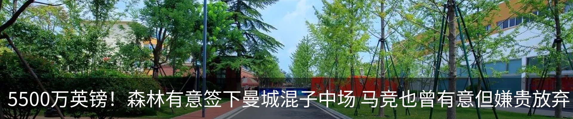 行业资讯