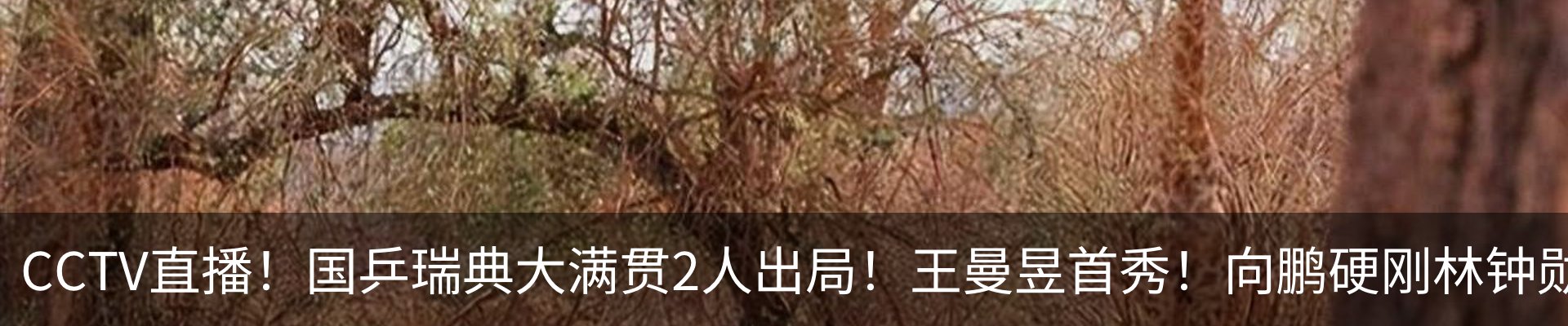 行业资讯